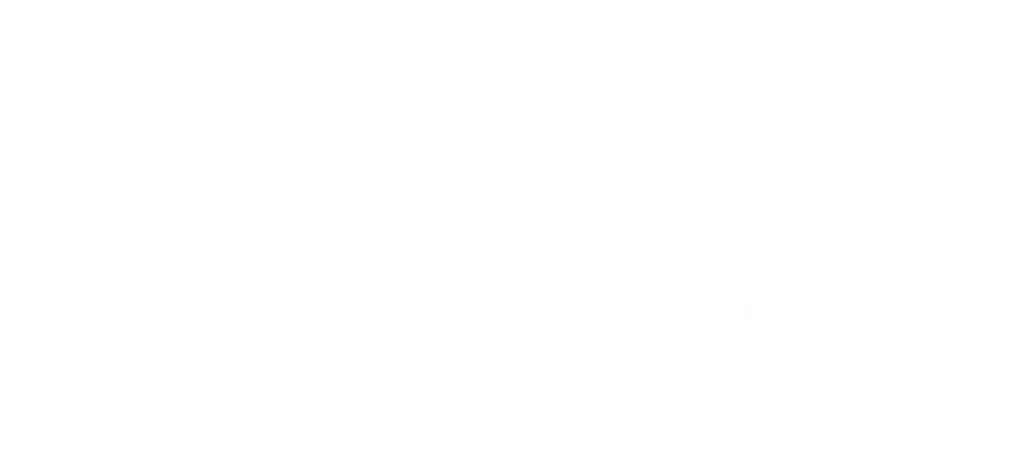 Logo MSM Europe